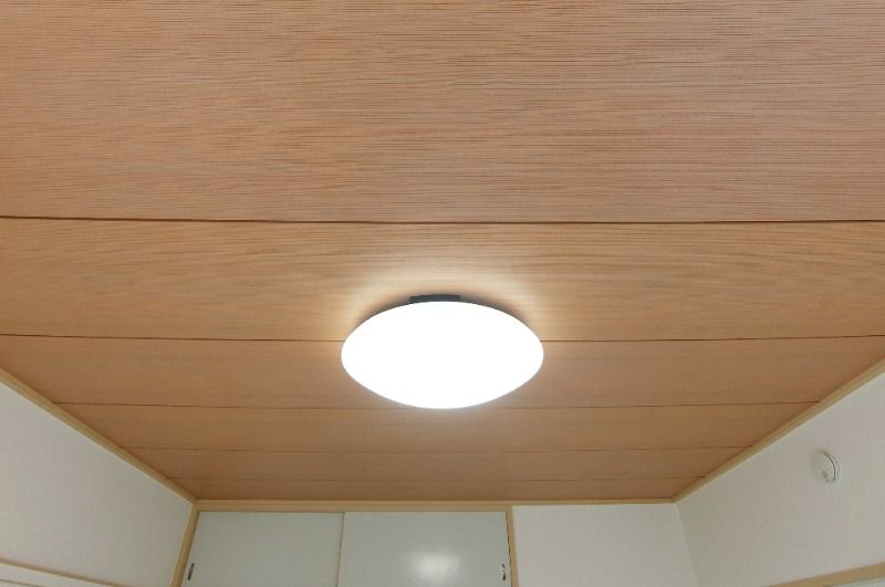 �y���̑��ݔ��z�@�S���Ɩ��t��