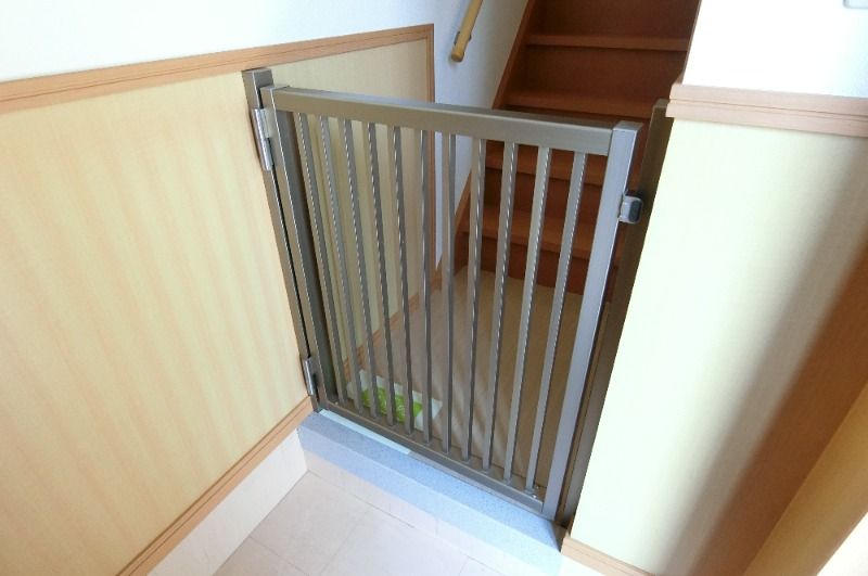 �y���̑��z�@