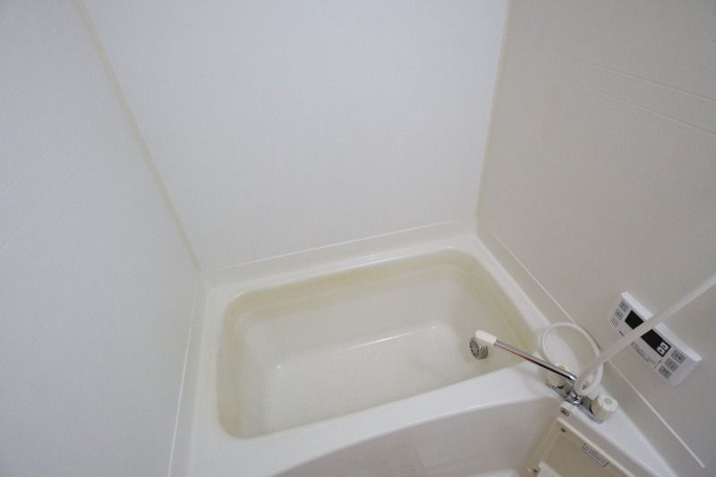 �y�o�X�z�@