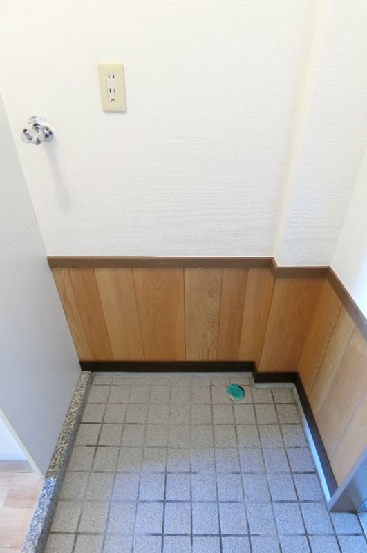 �y���̑��z�@���^�C�v