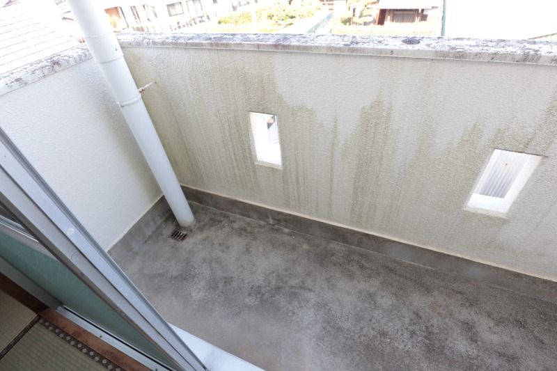 �y�o���R�j�[�z�@�k���o���R�j�[