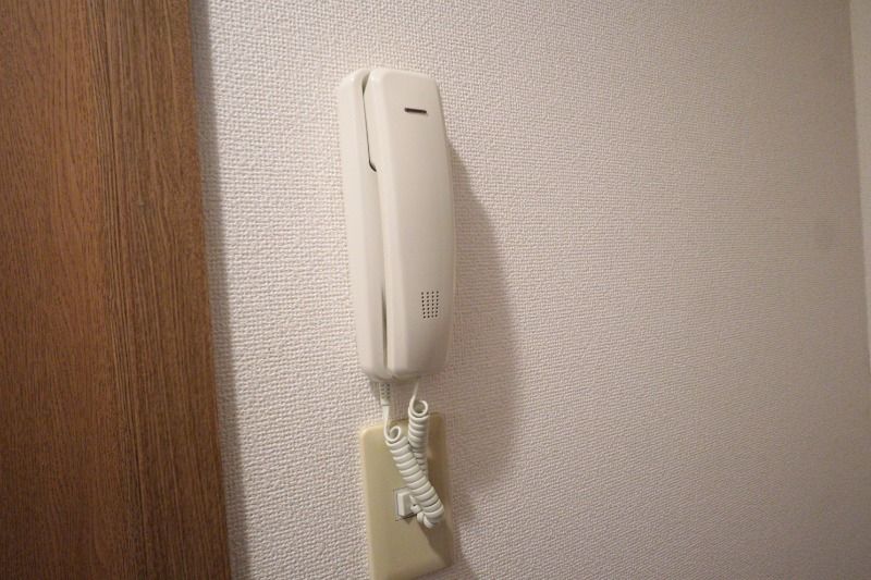 y̑z@3KC^[z