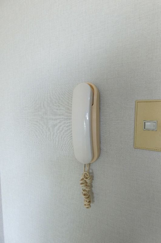 y̑z@^Cv