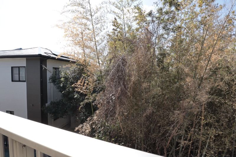 �y���̑��z�@���^�C�v