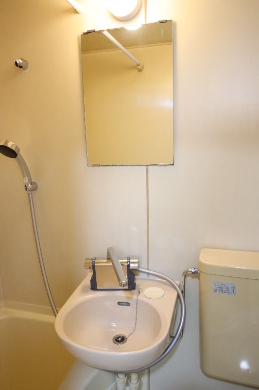 �y���ʏ��z�@���^�C�v�@