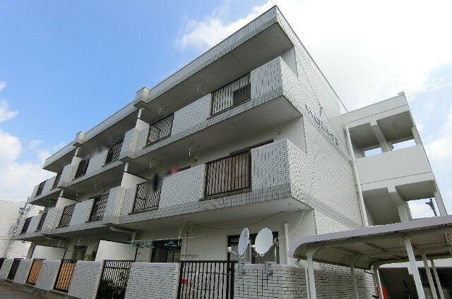 �L���s�^���n�C�cB�̌����O��