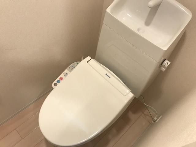�y�g�C���z�@�V�����[�t�g�C��