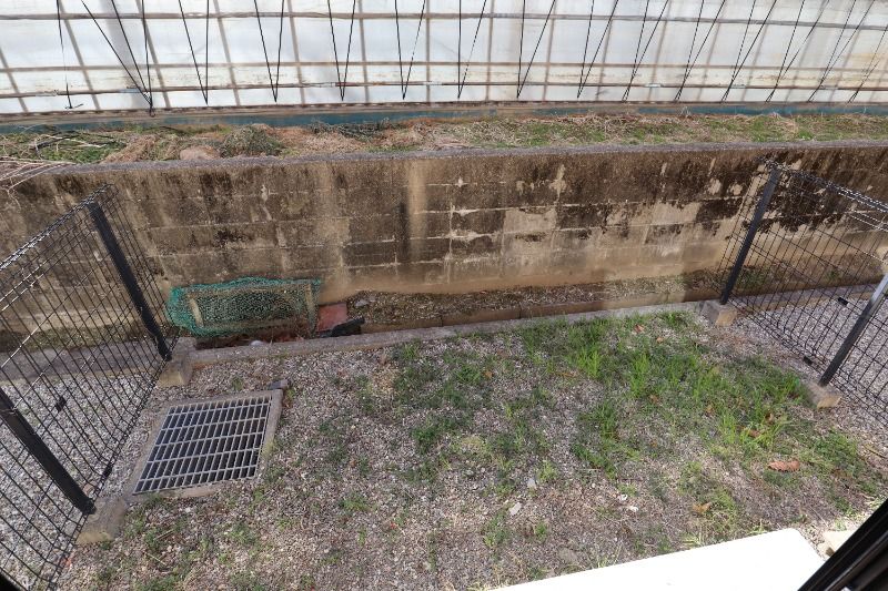 �y���̑��z�@