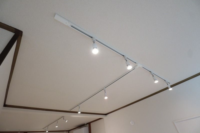 �y���̑��ݔ��z�@�y���_���g���C�g