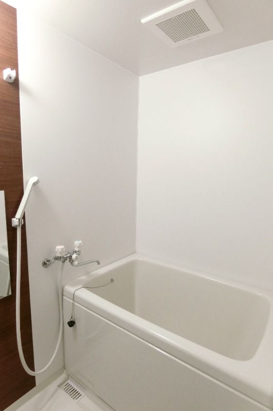 �y�o�X�z�@