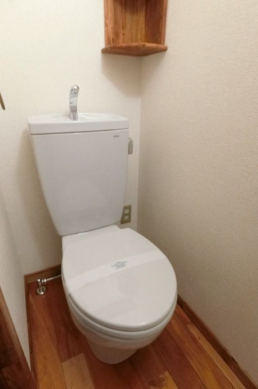 �y�g�C���z�@