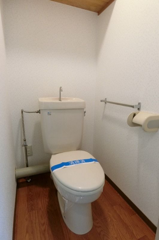 �y�g�C���z�@