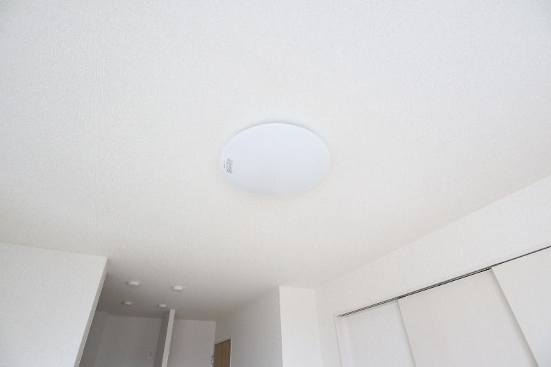 �y���̑��ݔ��z�@�S���Ɩ��t��