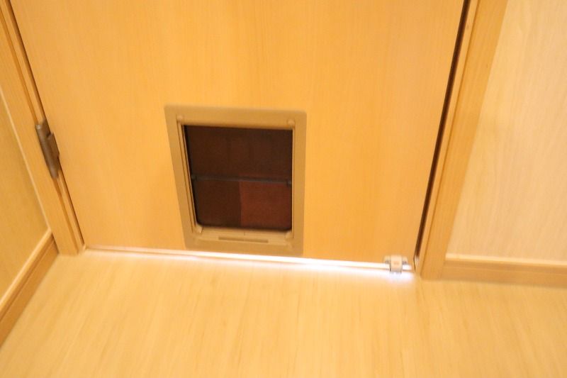 �y���̑��z�@�y�b�g�p��