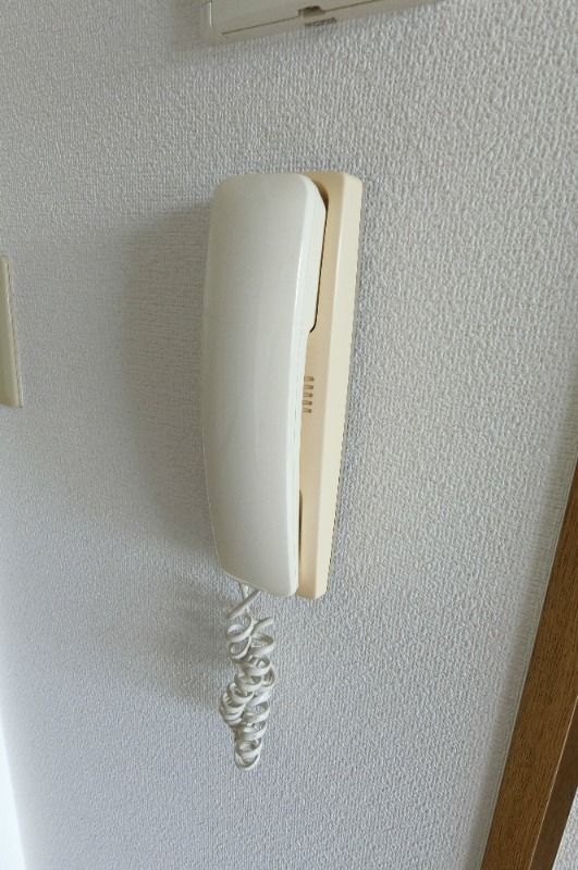 �y���̑��z�@