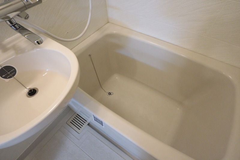 �y�o�X�z�@