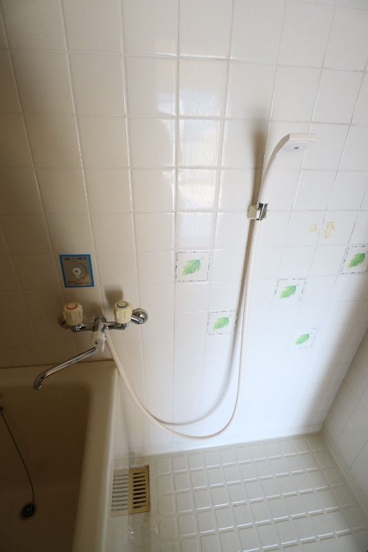 �y�o�X�z�@