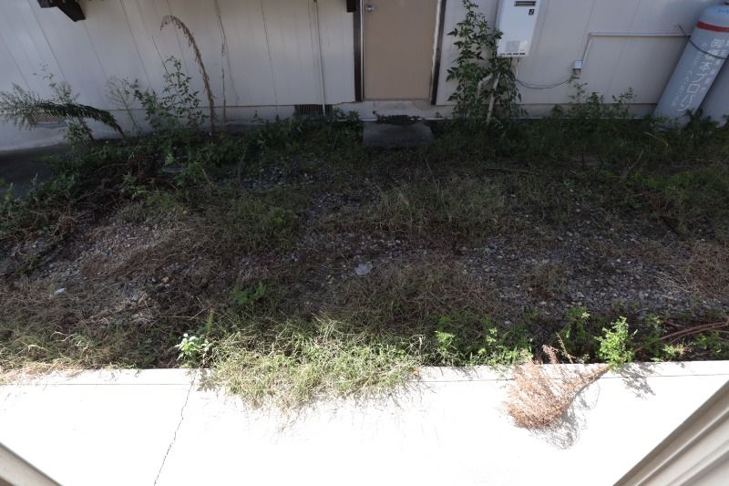 �y�o���R�j�[�z�@