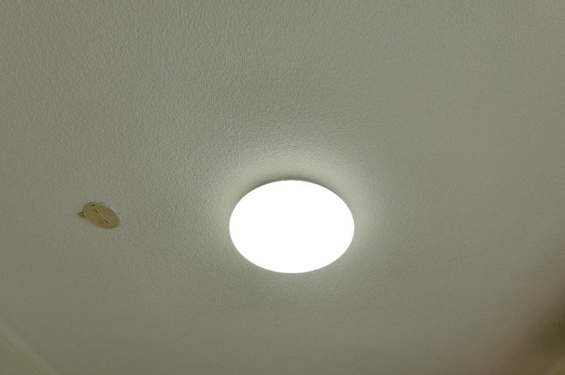 �y���̑��ݔ��z�@�S���Ɩ��t��