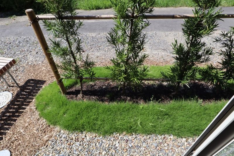 �y���̑��z�@