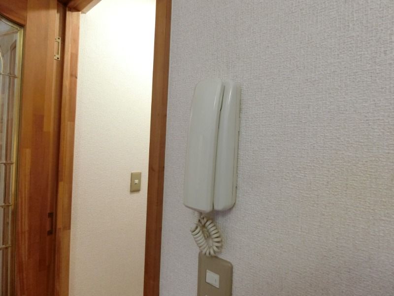 y̑z@^Cv