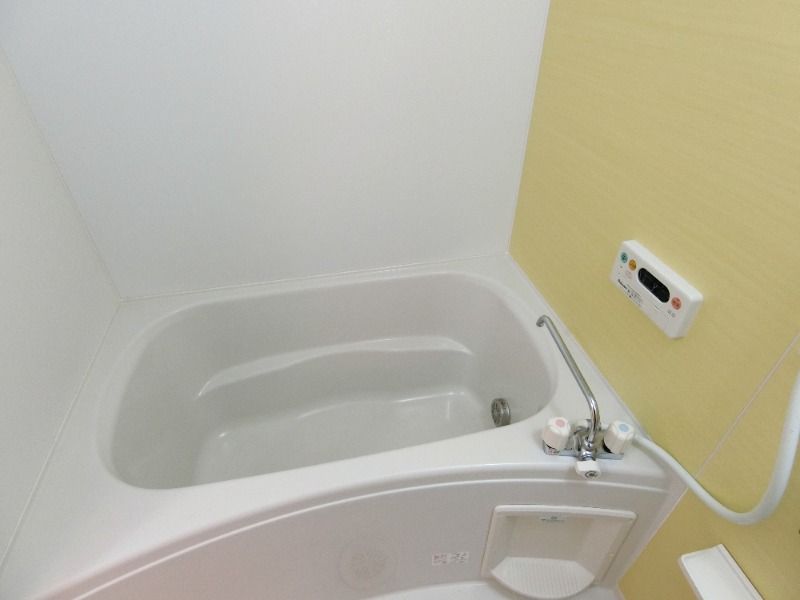 �y�o�X�z�@