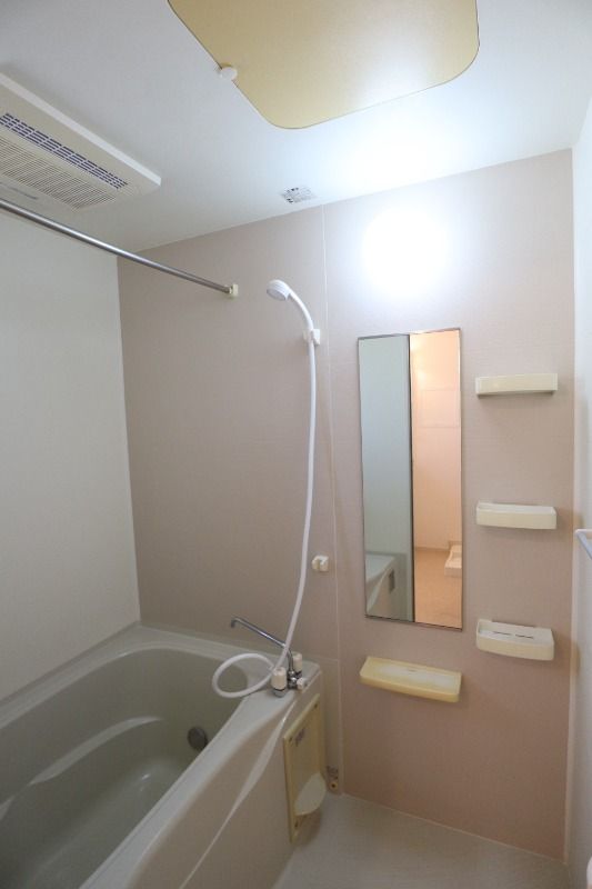 �y�o�X�z�@���^�C�v�@