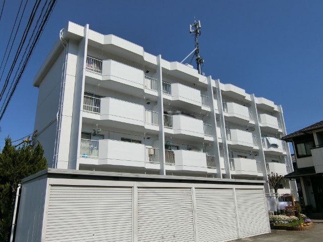 ���c�}���V�����̌����O��