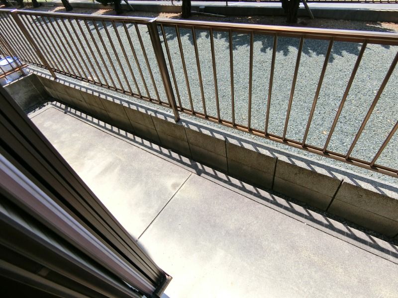 �y�o���R�j�[�z�@�e���X