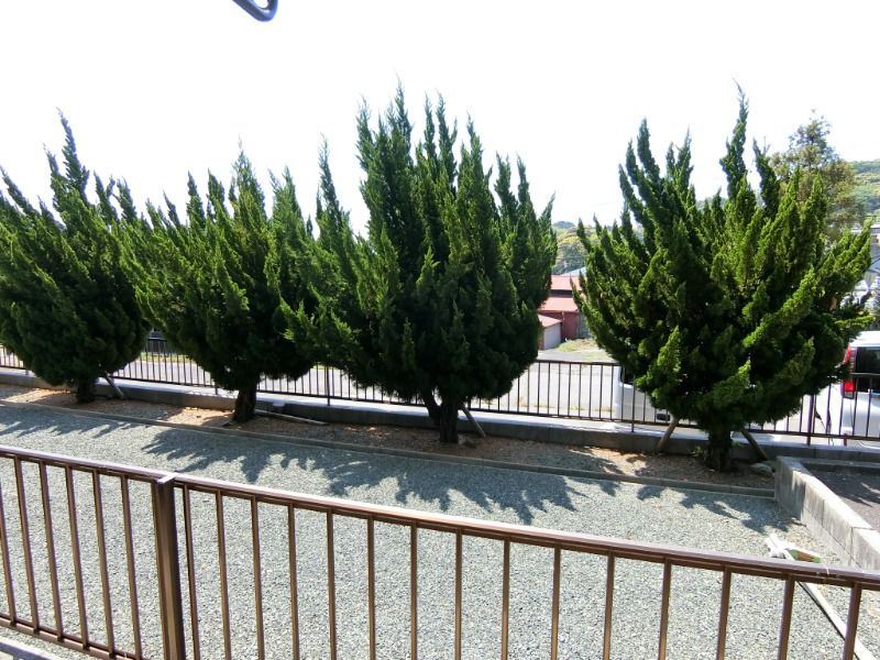 �y���̑��z�@