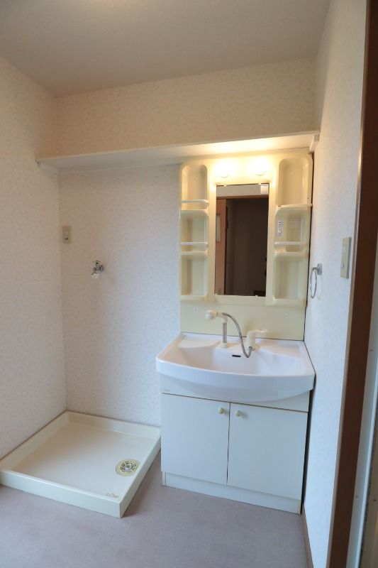 �y���ʏ��z�@���^�C�v