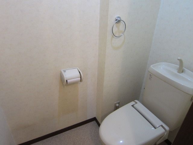 �y�g�C���z�@