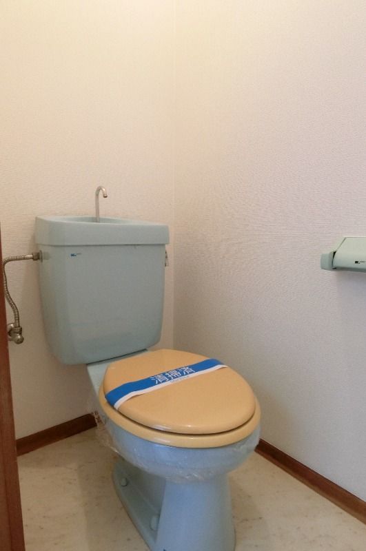 �y�g�C���z�@