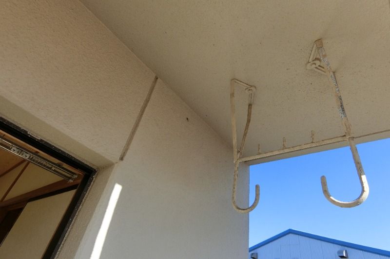 �y�o���R�j�[�z�@