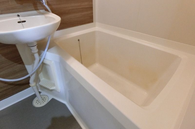 �y�o�X�z�@