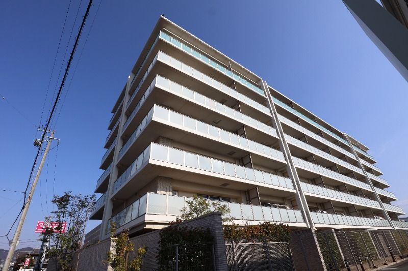 �A���o�b�N�X���S���W�f���X�̌����O��