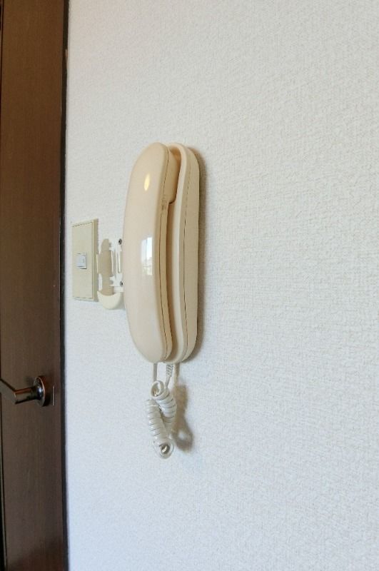 y̑z@