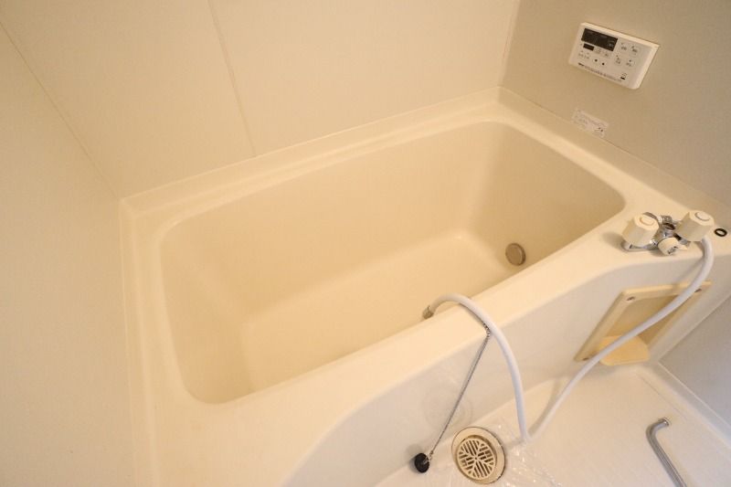 �y�o�X�z�@