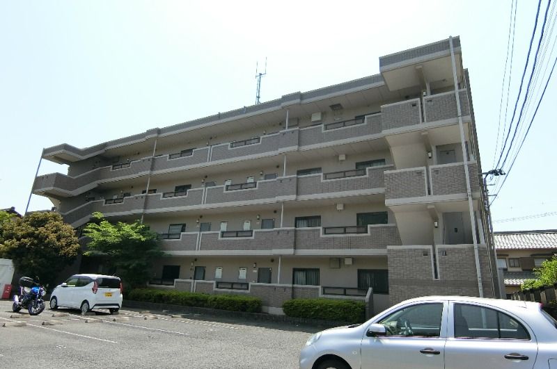 ���]���V��̌����O��