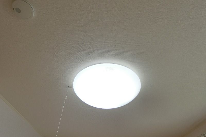 �y���̑��ݔ��z�@�S���Ɩ��t��