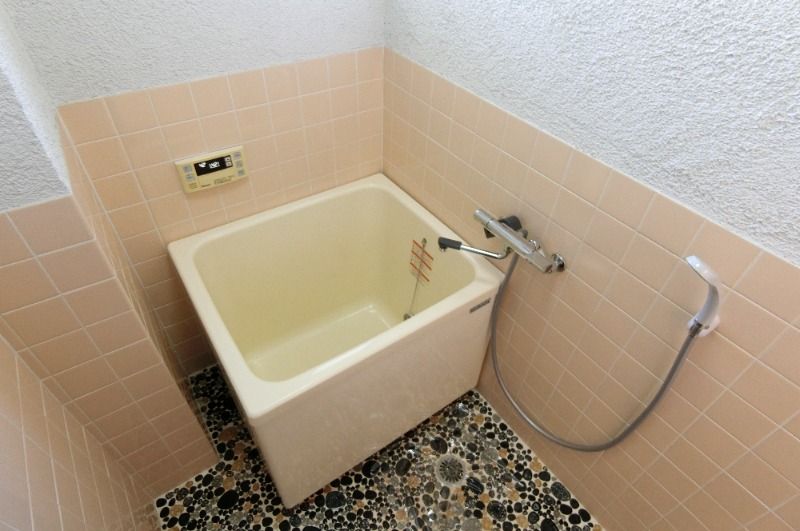 �y�o�X�z�@