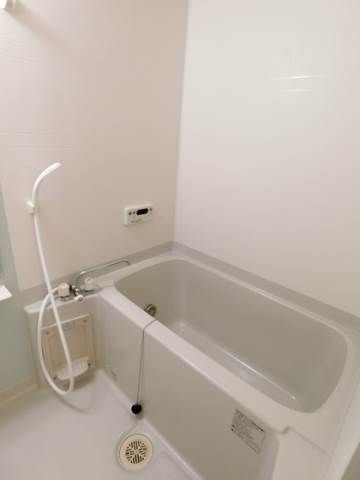 �y�o�X�z�@