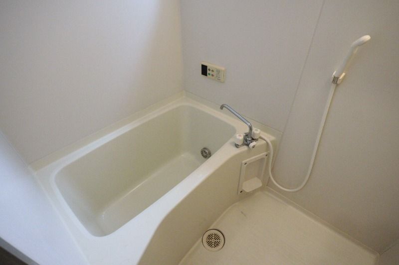 �y�o�X�z�@���^�C�v�@