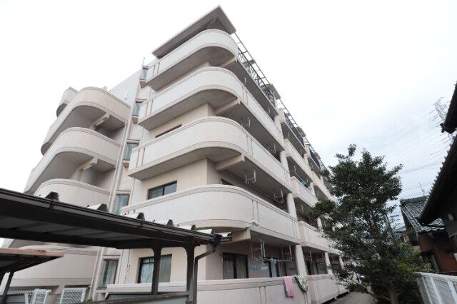 �O�����V�����I�K�c�̌����O��