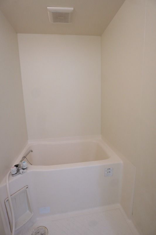 �y�o�X�z�@���^�C�v