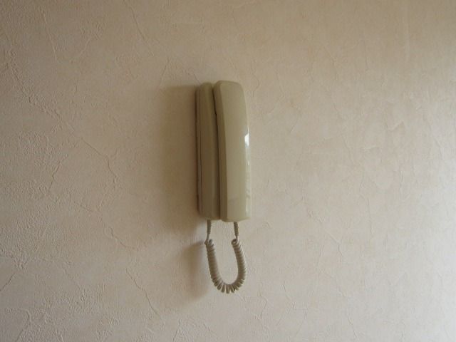 �y���̑��z�@���^�C�v