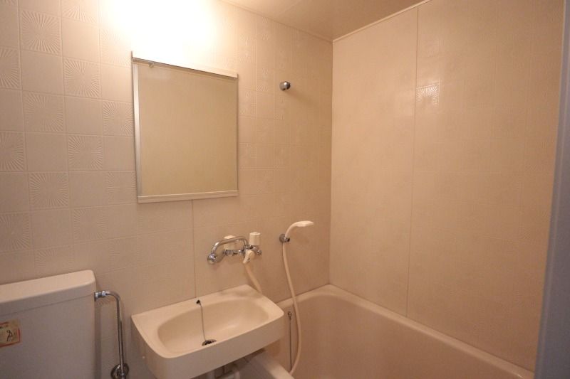 �y���ʏ��z�@���^�C�v