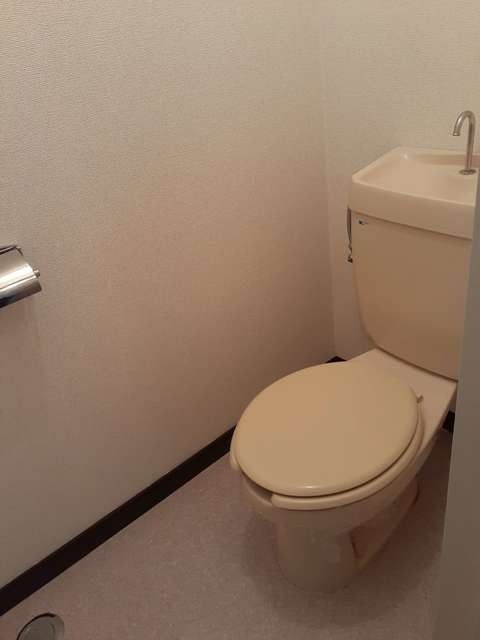 �y�g�C���z�@