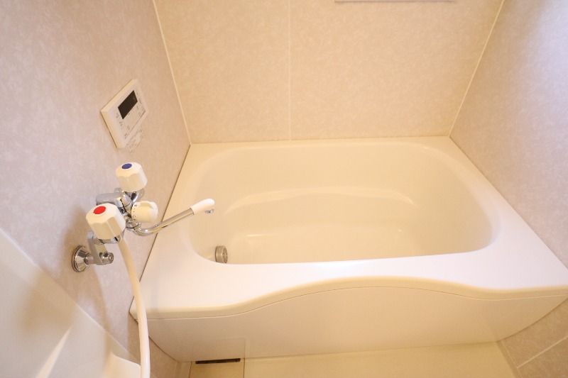 �y�o�X�z�@