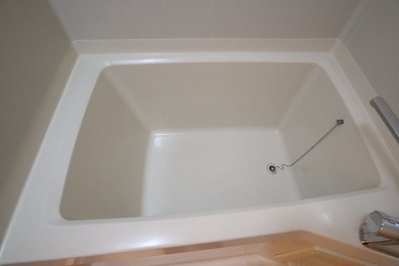 �y�o�X�z�@